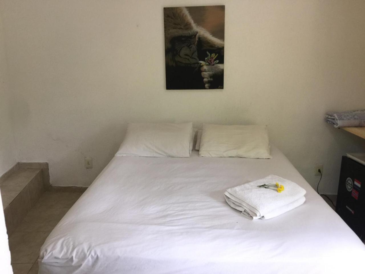 Butterfly Vanazul Guesthouse Rio de Janeiro Luaran gambar